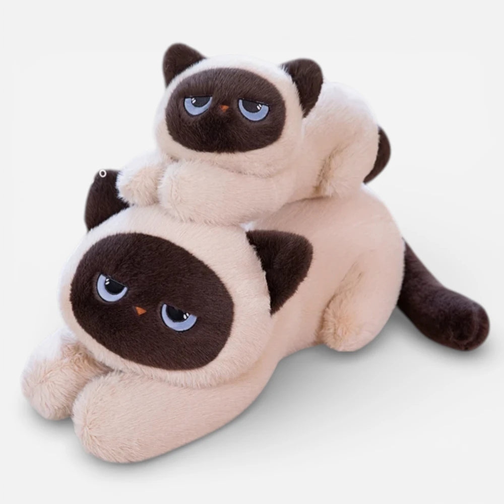 Peluche Chat Siamois Coussin