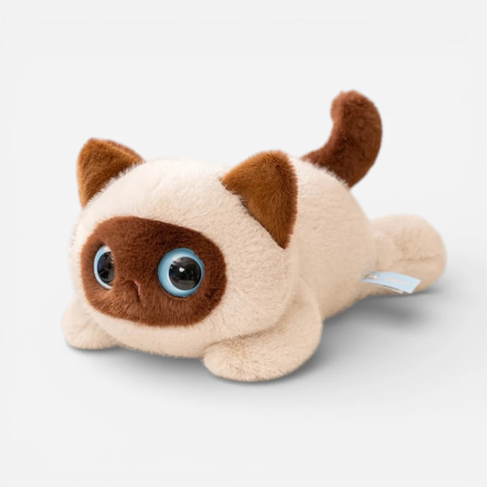 Peluche Chat Grands Yeux