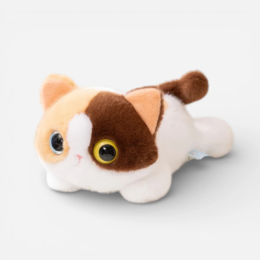 Peluche Chat Grands Yeux