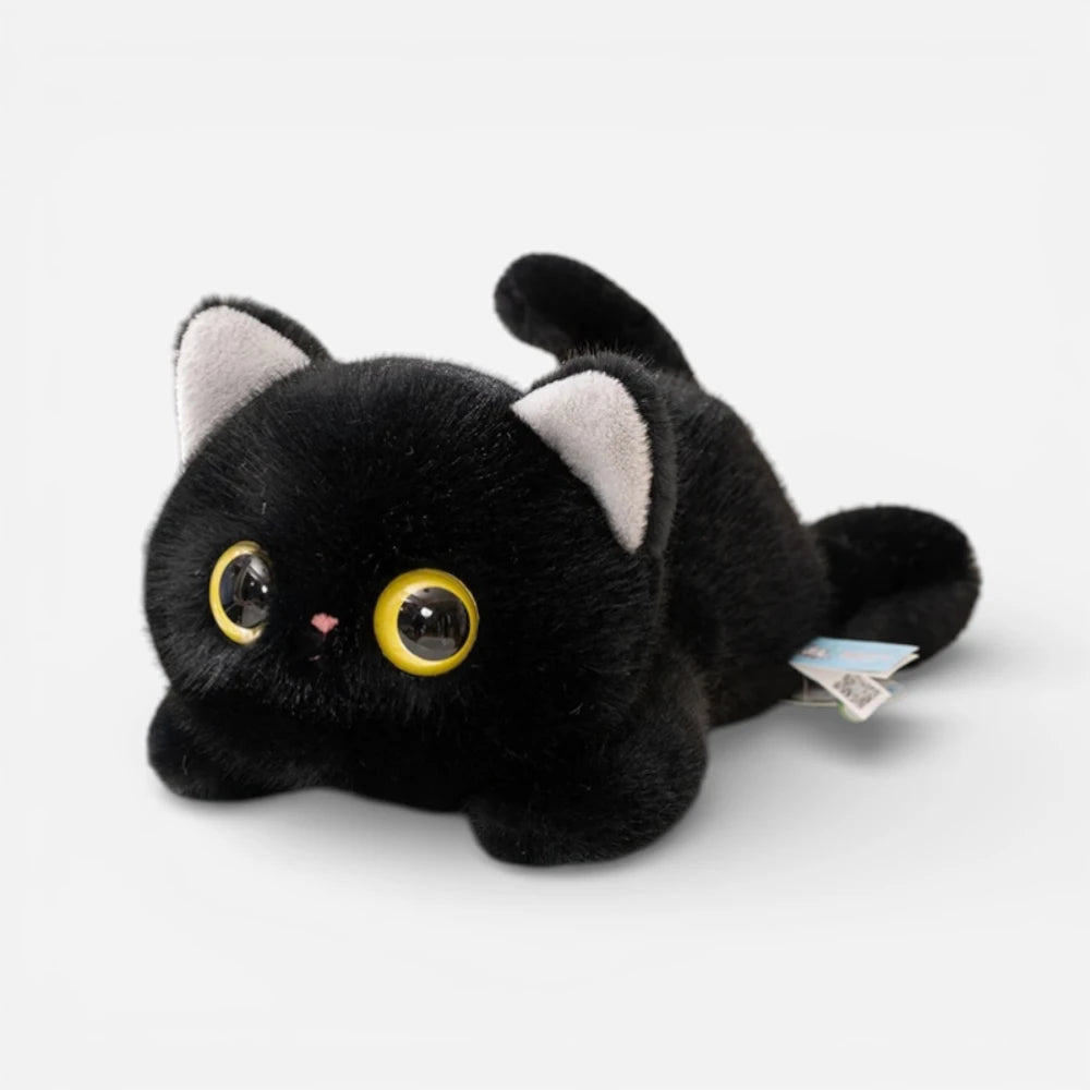 Peluche Chat Grands Yeux