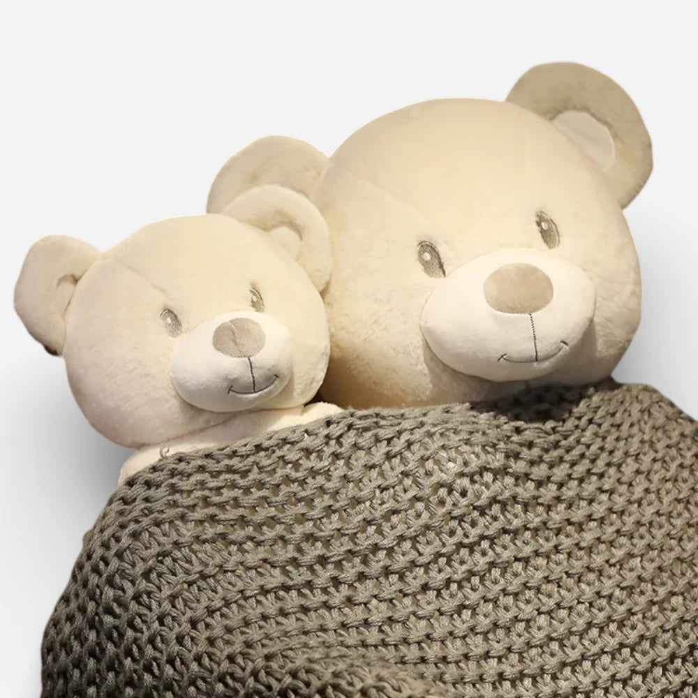 Peluche Ours Classique Câlin