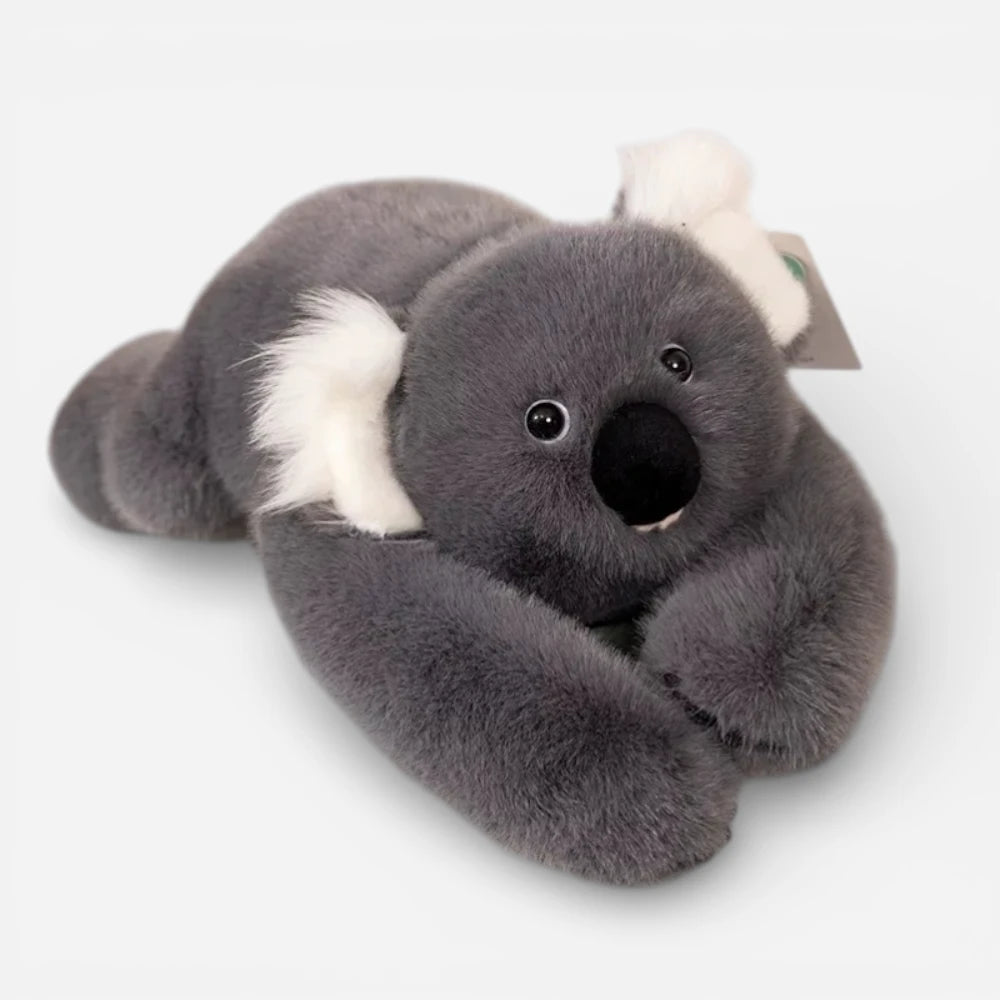 Peluche Oreiller Bras Longs